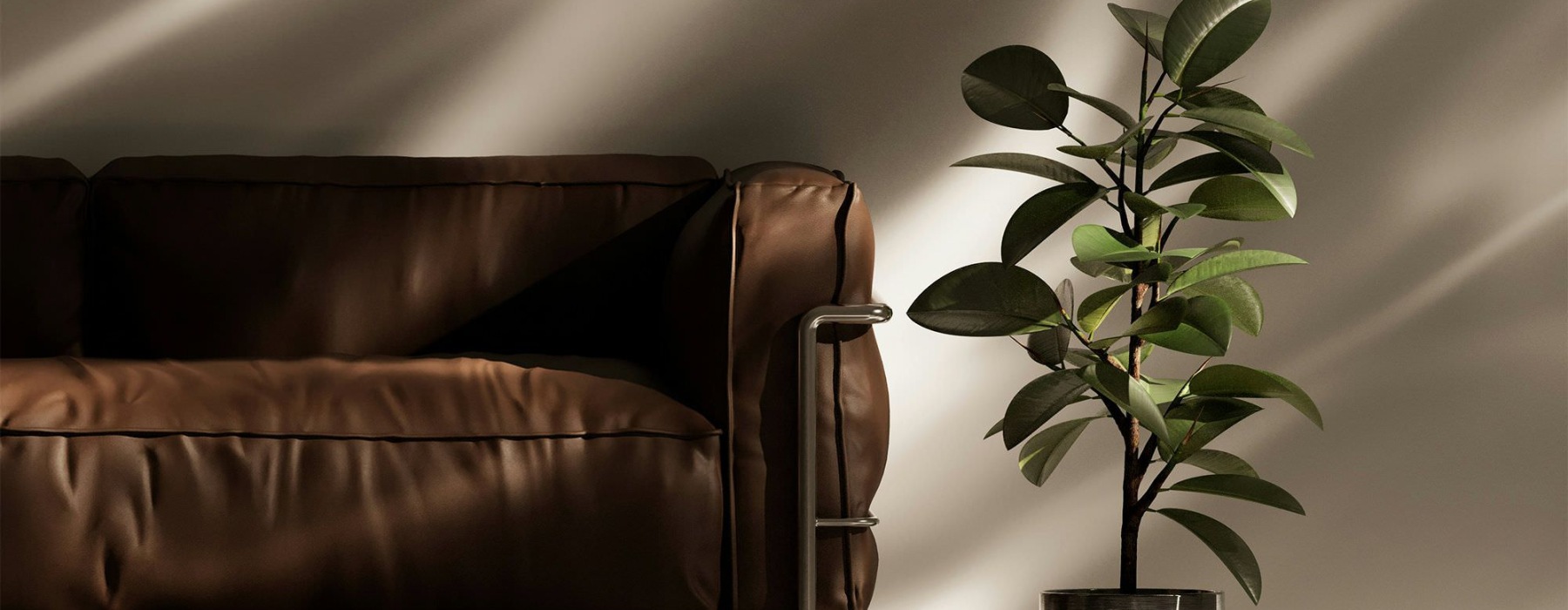 a plant in a pot near a leather couch