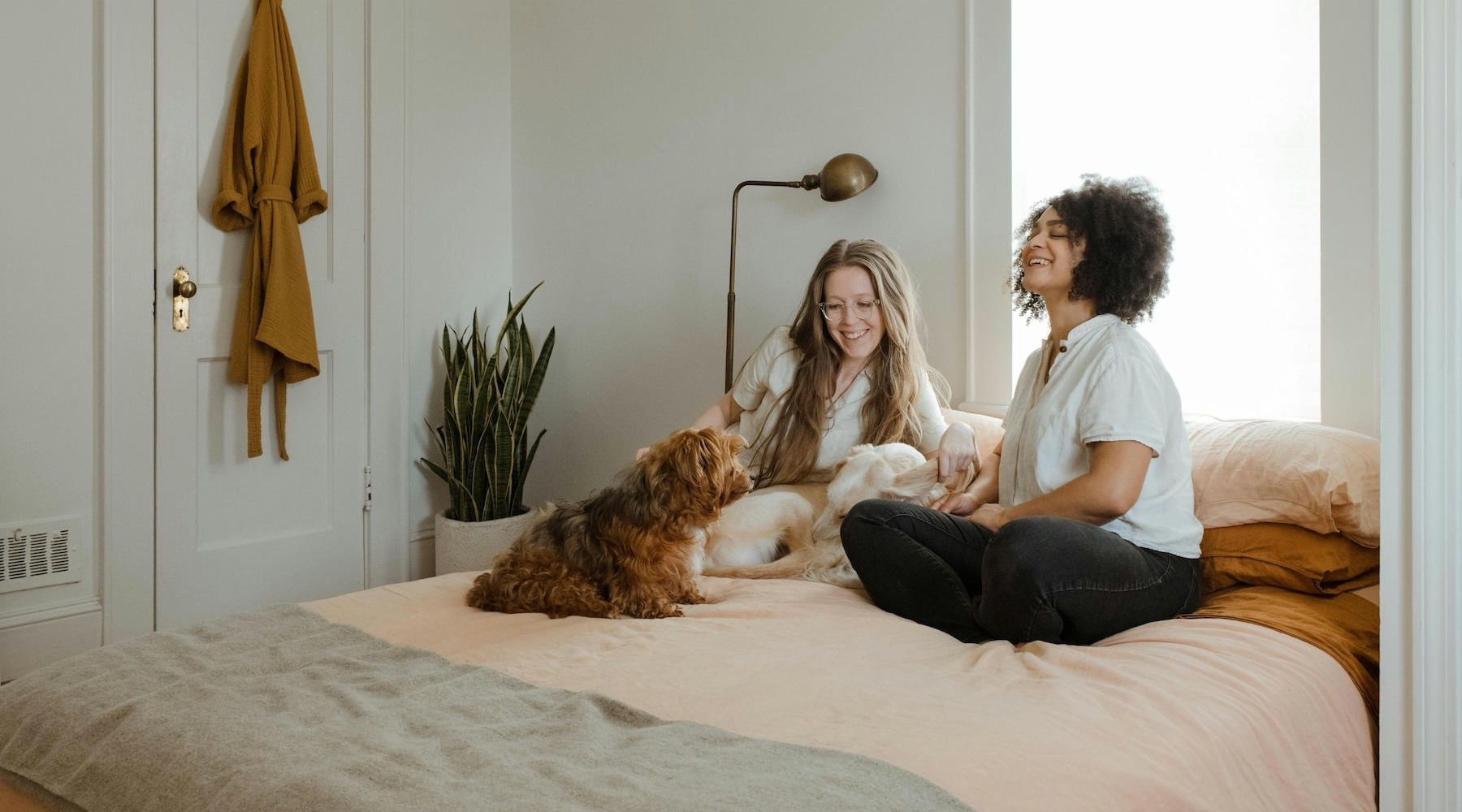 a couple people in a bedroom with a dog on a bed