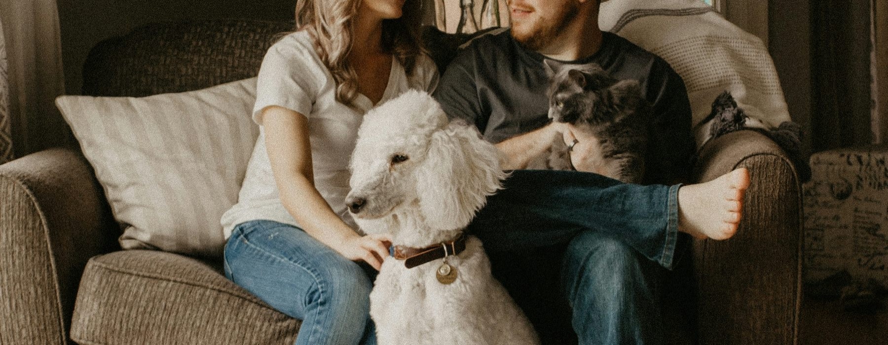 a couple and a dog in a living room
